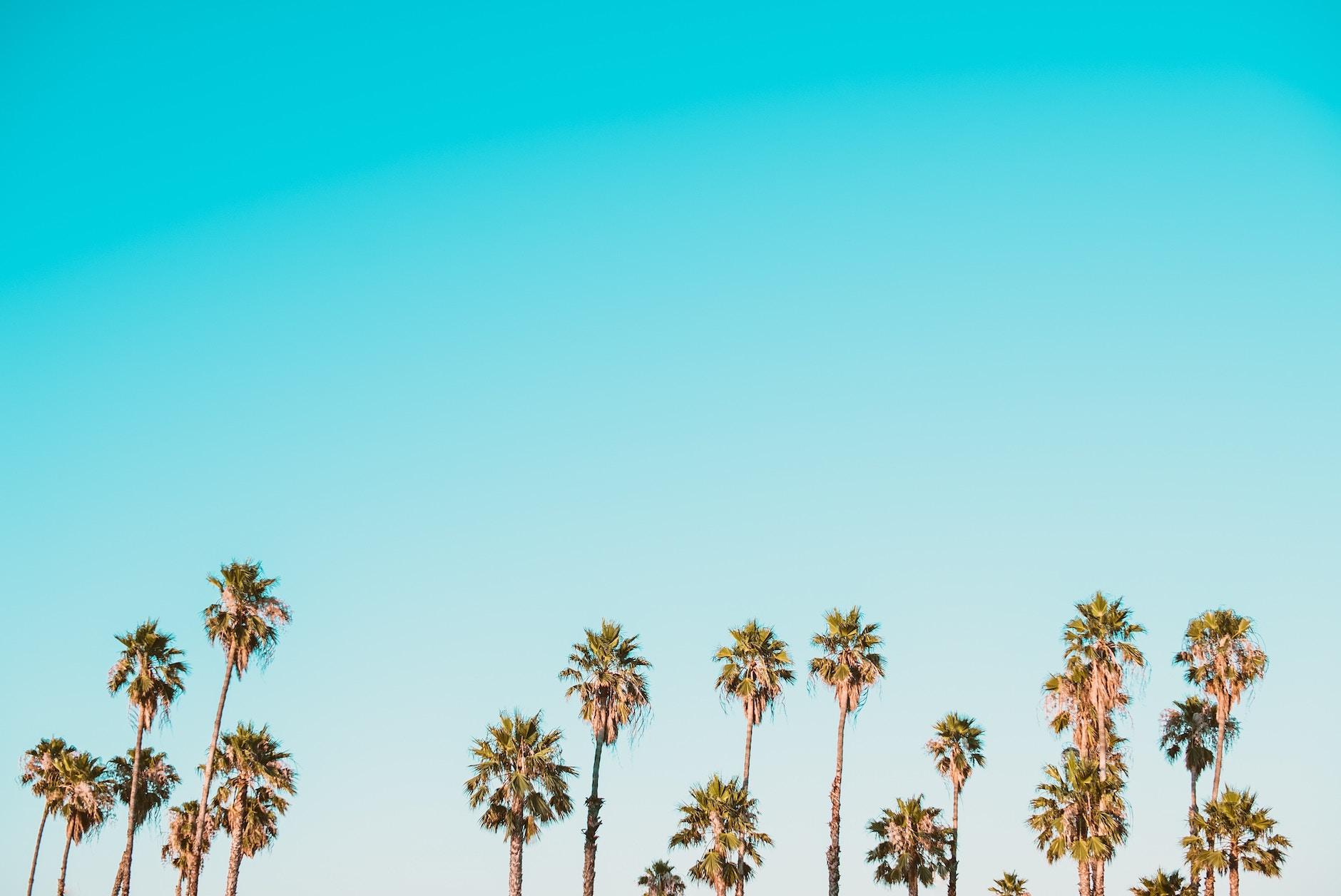 Okay. These are The Best Neighborhoods in Miami. Bellhop Blog
