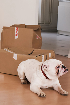 How to move out discreetly