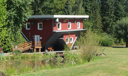 How to Downsize Your Home When Moving: 10 Downsizing Steps