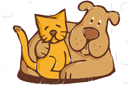 Tips for moving with pets across country