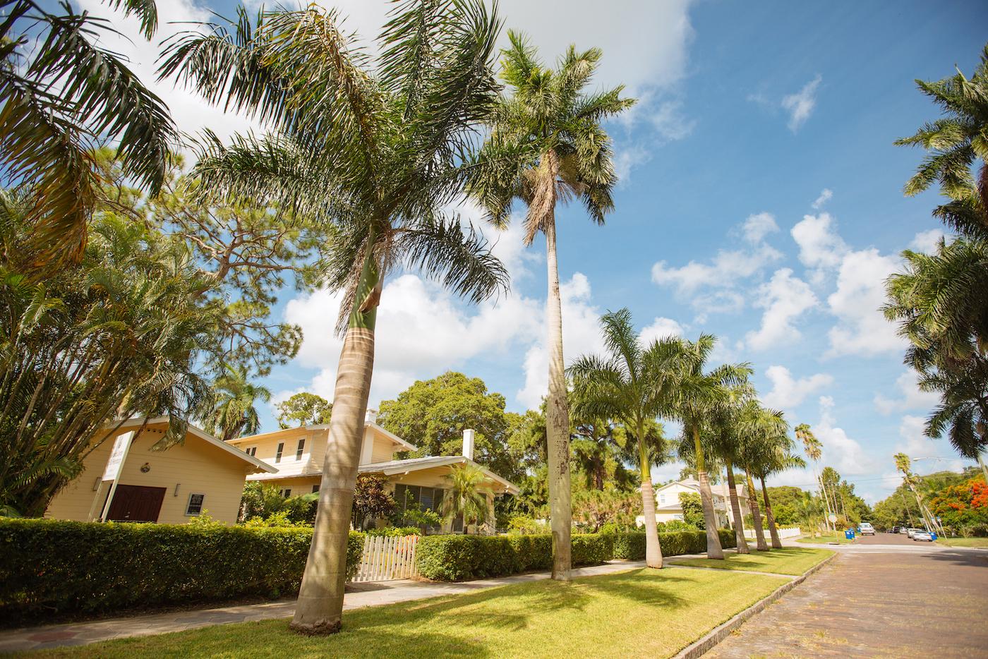 The Best Places to Live in Tampa (2022) Bellhop Blog